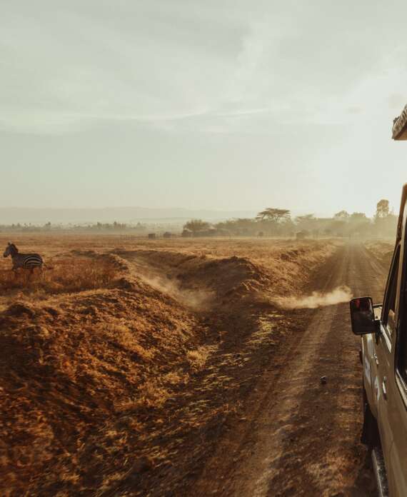 Safari Kenya-min